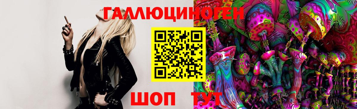 Псилоцибиновые грибы GOLDEN TEACHER  Галлюциногенные грибы GOLDEN TEACHER  Слободской  Вход с VPN 